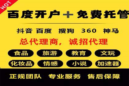 成功案例：SEM竞价代运营助力品牌崛起
